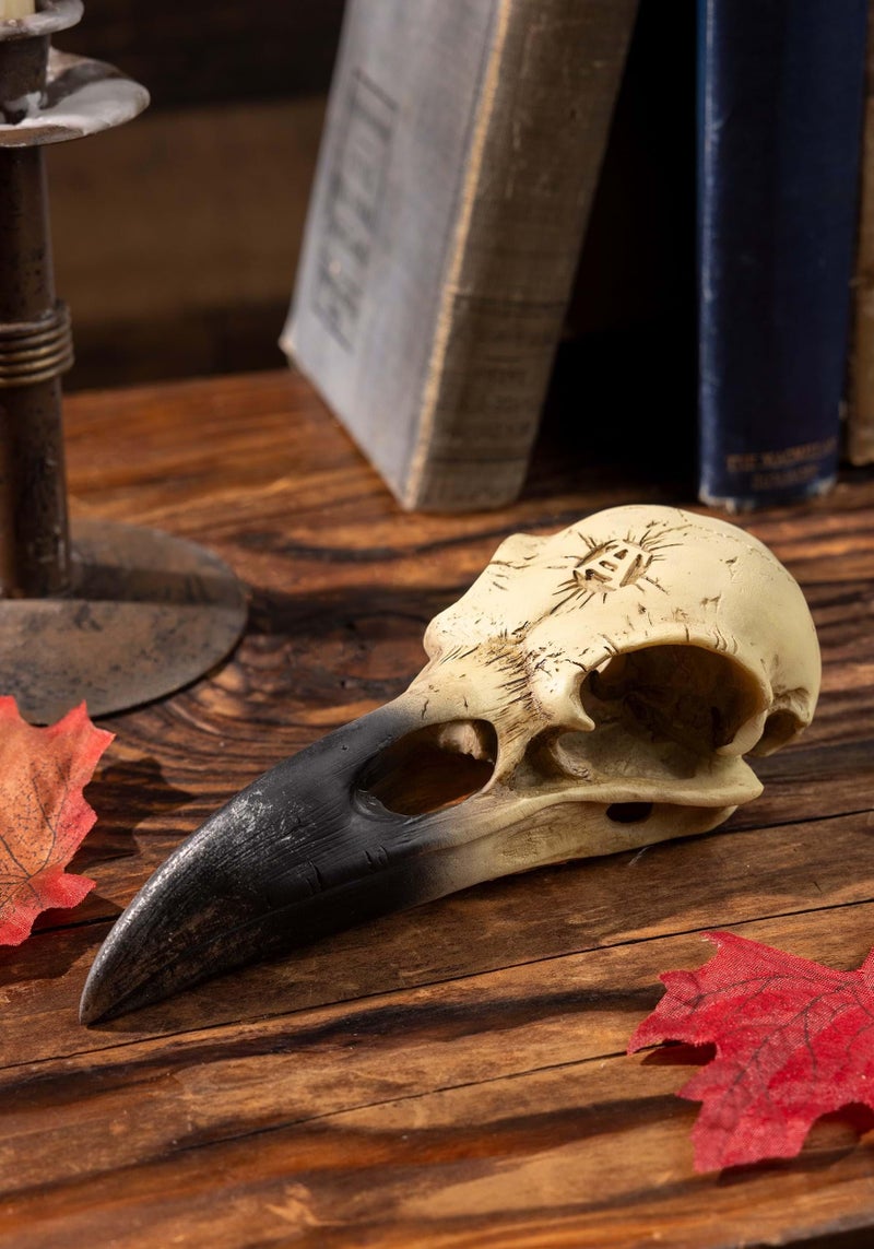 Alchemy Corvus Alchemica Raven Skull - Image 2